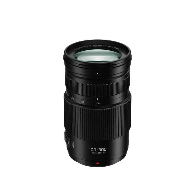 LENTE LUMIX 100-300