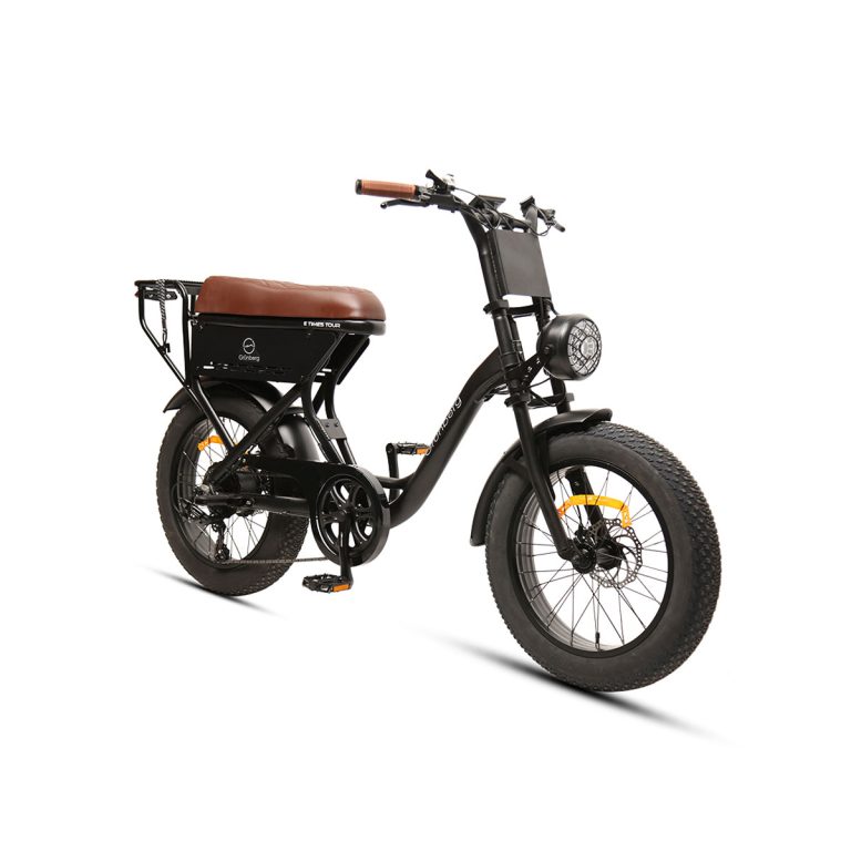 E TIMES PREMIUM MOTORCYCLE E FAT BIKE