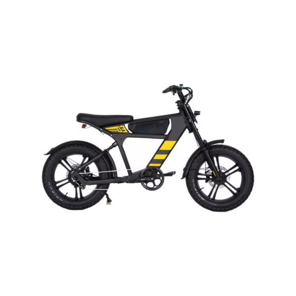 MANGOSTEEN FT03 E-BIKE